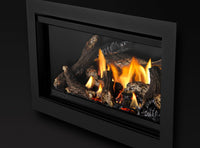 Napoleon Rosedale™ 2 Gas Insert — product and configuration view