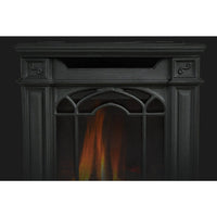 Napoleon Arlington™ Direct Vent Stove — product and configuration view
