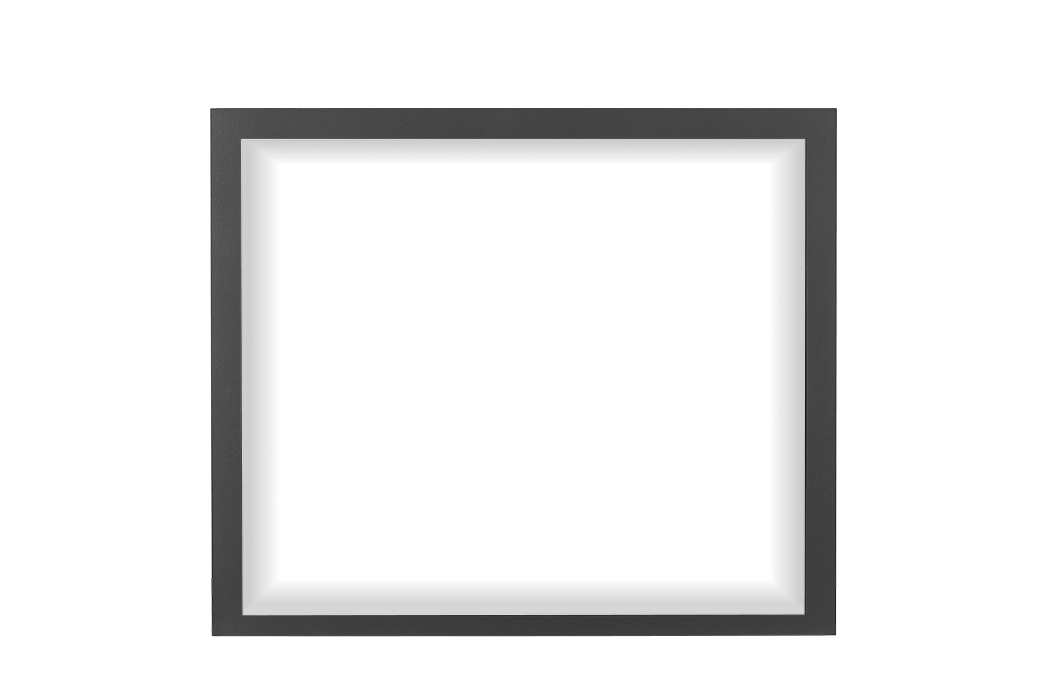 Napoleon component-family illustration; refer to the selected part number and specifications.