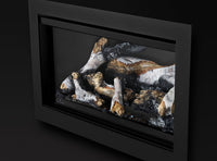 Napoleon Rosedale™ 2 Gas Insert — product and configuration view