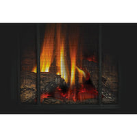Napoleon Arlington™ Direct Vent Stove — product and configuration view