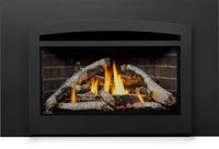 Napoleon Rosedale™ 3 Gas Insert — product and configuration view