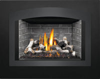 Napoleon Oakville™ X4 Gas Fireplace Insert — product and configuration view