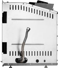 Napoleon Rosedale™ 2 Gas Insert — product and configuration view