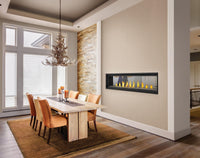 Napoleon Vector™ 74 See Through Direct Vent Fireplace — product and configuration view
