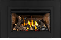 Napoleon Rosedale™ 2 Gas Insert — product and configuration view