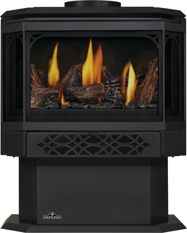 Napoleon Haliburton™ Direct Vent Stove
