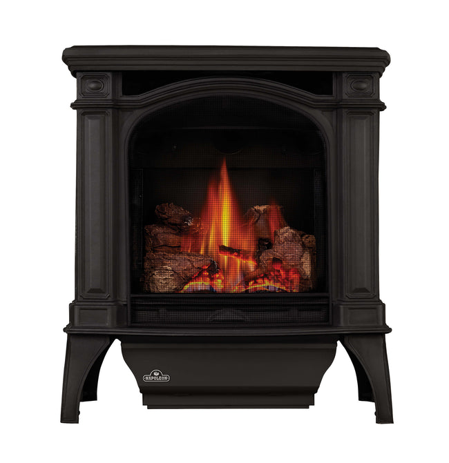 Napoleon Bayfield™ Direct Vent Stove