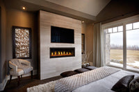 Napoleon Vector™ 50 Direct Vent Fireplace — product and configuration view