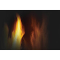 Napoleon Arlington™ Direct Vent Stove — product and configuration view