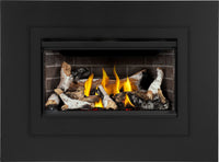 Napoleon Rosedale™ 2 Gas Insert — product and configuration view