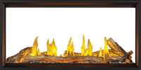 Napoleon Tall Linear Vector™ 50 See Through Direct Vent Gas Fireplace — product and configuration view