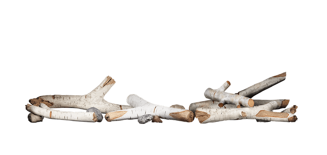 Napoleon BLKS Standard Birch Log Kit - Small