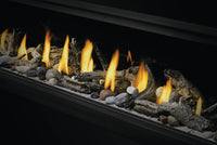 Napoleon Ascent™ Linear 46 Direct Vent Fireplace — product and configuration view