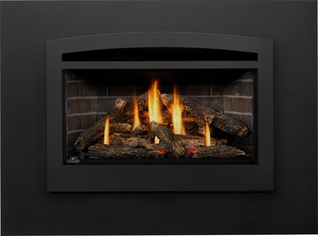 Napoleon Rosedale™ 3 Gas Insert