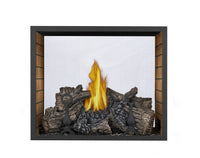 Napoleon High Definition 81 Direct Vent Fireplace — product and configuration view