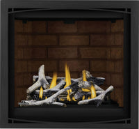 Napoleon Altitude™ X 36 Direct Vent Gas Fireplace — product and configuration view