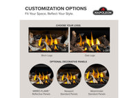 Napoleon Rosedale™ 2 Gas Insert — product and configuration view