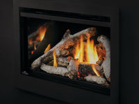 Napoleon Rosedale™ 3 Gas Insert — product and configuration view