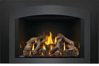 Napoleon Oakville™ X4 Gas Fireplace Insert — product and configuration view