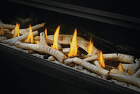 Napoleon Luxuria™ 62 See Through Direct Vent Fireplace — product and configuration view