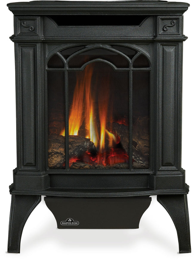 Napoleon Arlington™ Direct Vent Stove